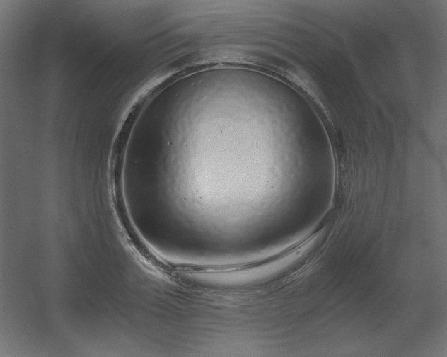 X0000056320987200509021558