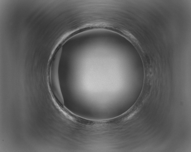 X0000056320989200509021558