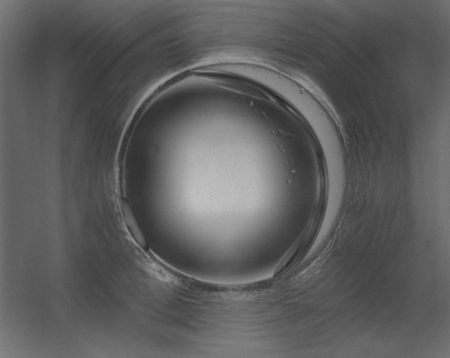 X0000056320996200509021558