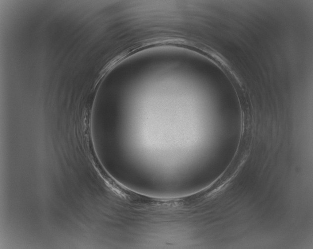 X0000056321001200509021558