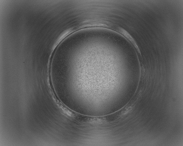 X0000056321002200509021558