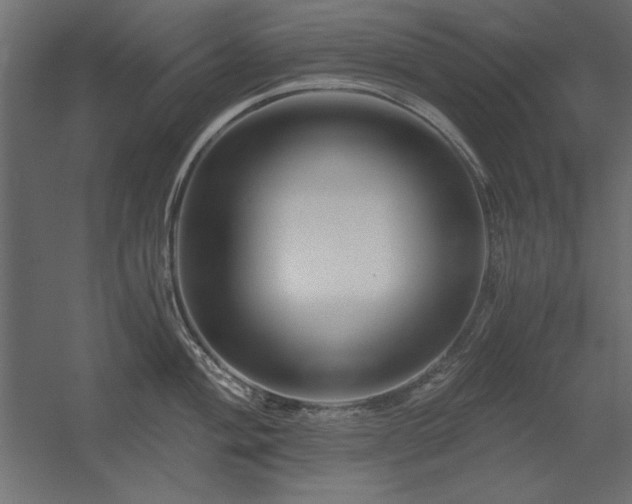 X0000056321004200509021558