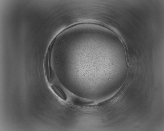 X0000056321007200509021558