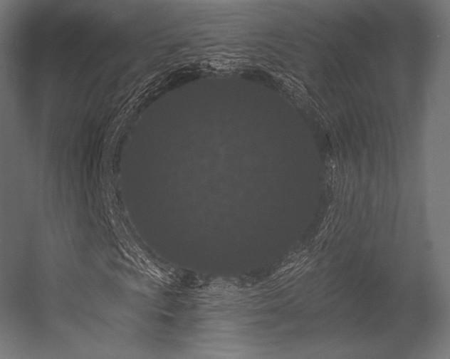 X0000056321009200509021557