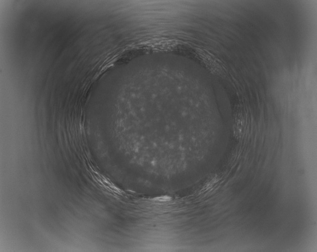 X0000056321010200509021557