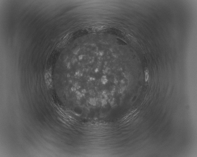 X0000056321011200509021557