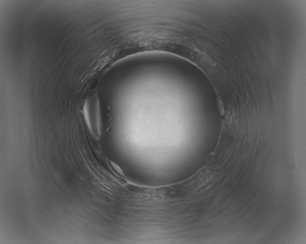 X0000056321012200509021557