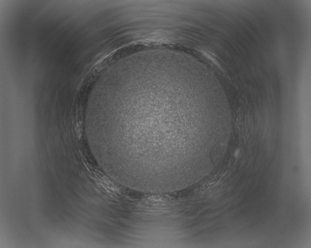 X0000056321015200509021557