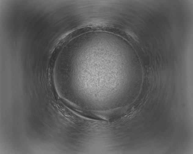 X0000056321016200509021557