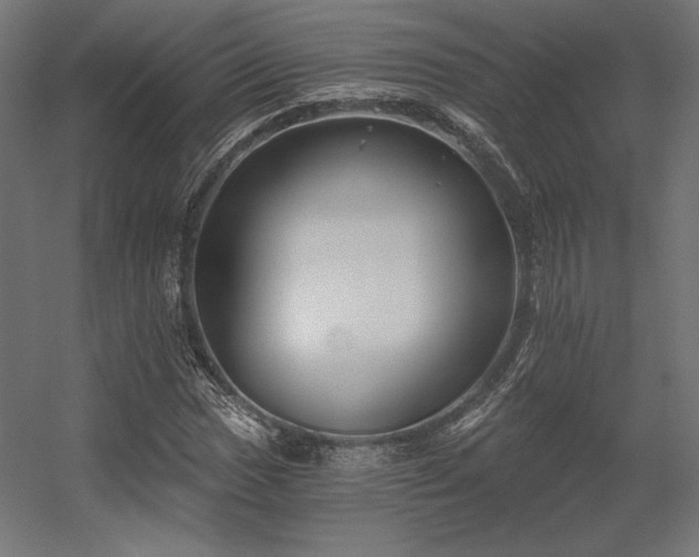 X0000056321017200509021557