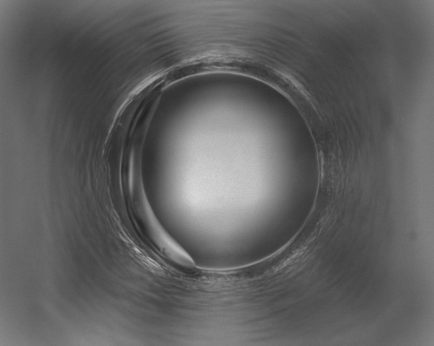 X0000056321018200509021557