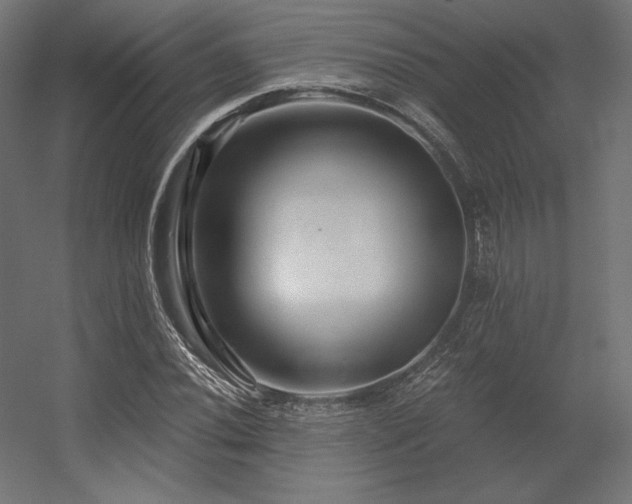 X0000056321020200509021557