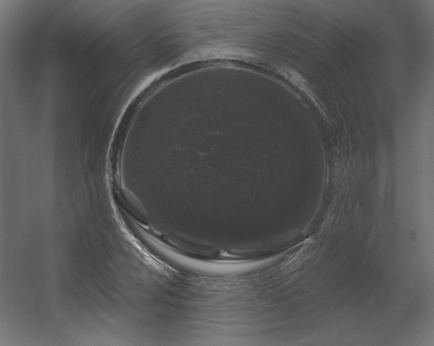 X0000056321024200509021557