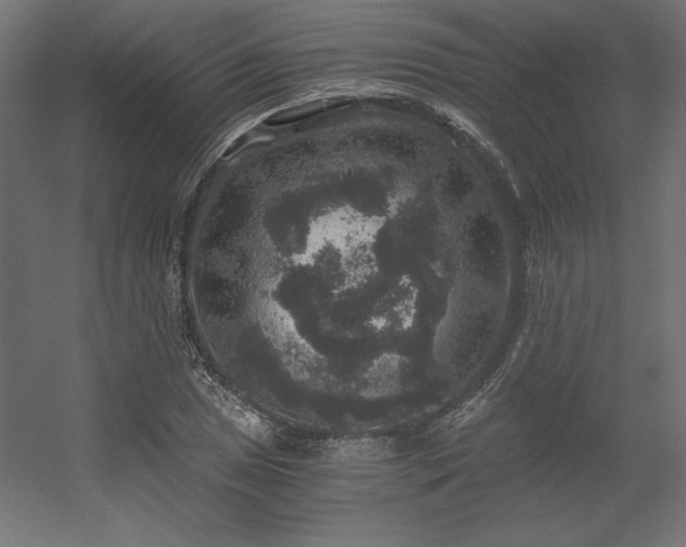 X0000056321025200509021557