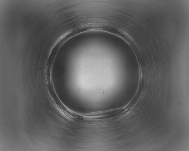X0000056321026200509021557