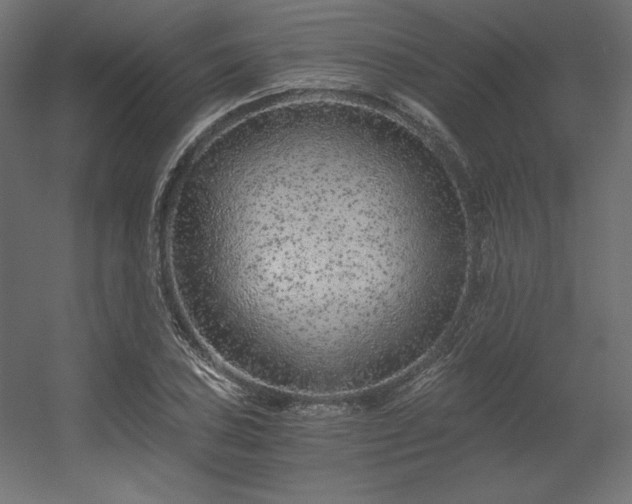 X0000056321027200509021557