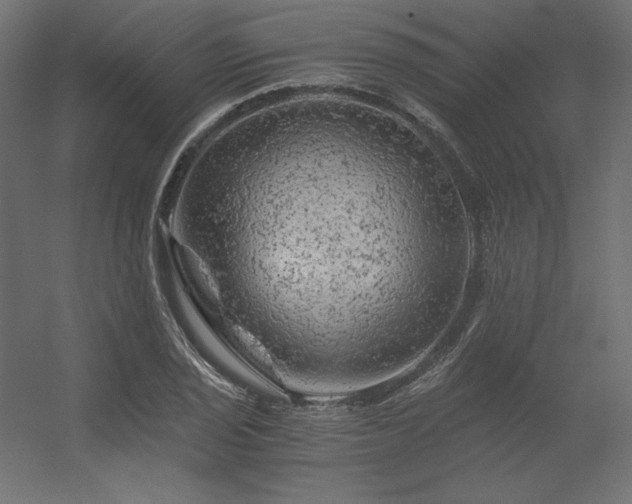 X0000056321029200509021558