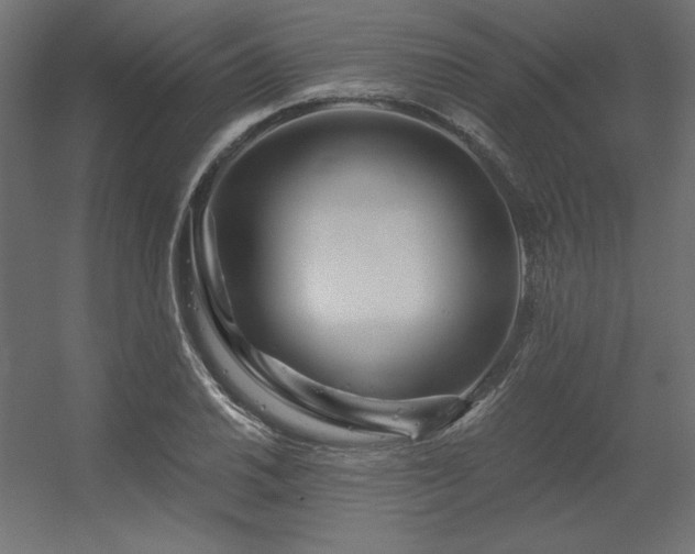 X0000056321030200509021558