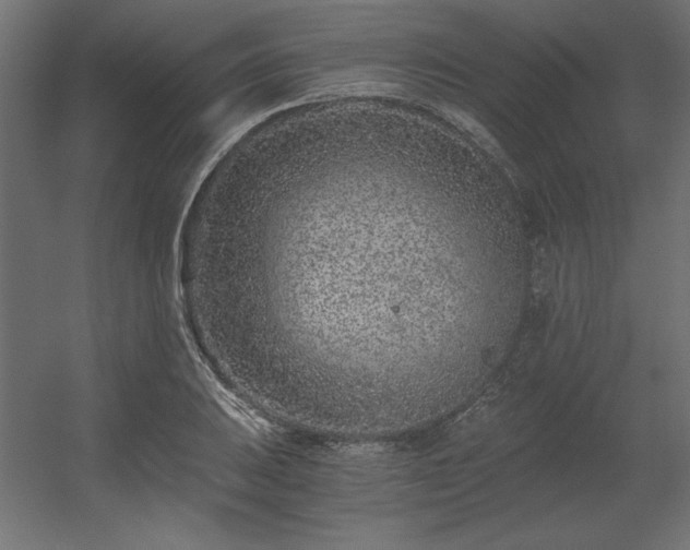 X0000056321031200509021558