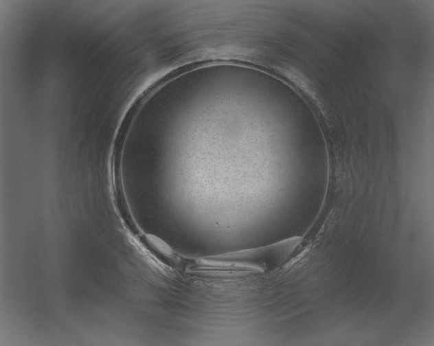 X0000056321032200509021558