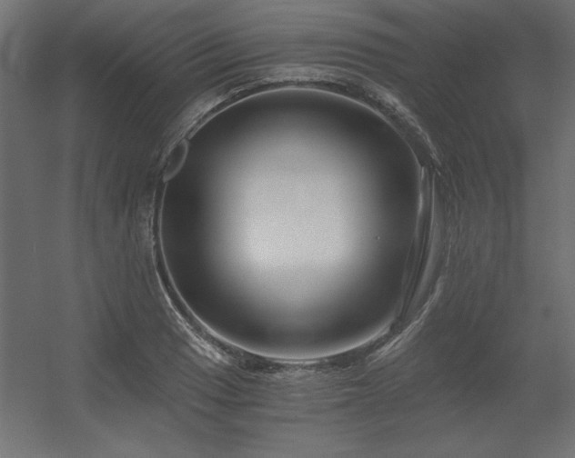 X0000056321033200509021558