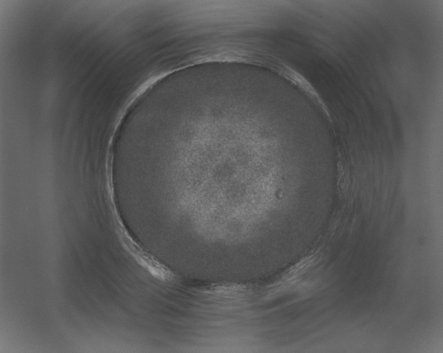 X0000056321035200509021558