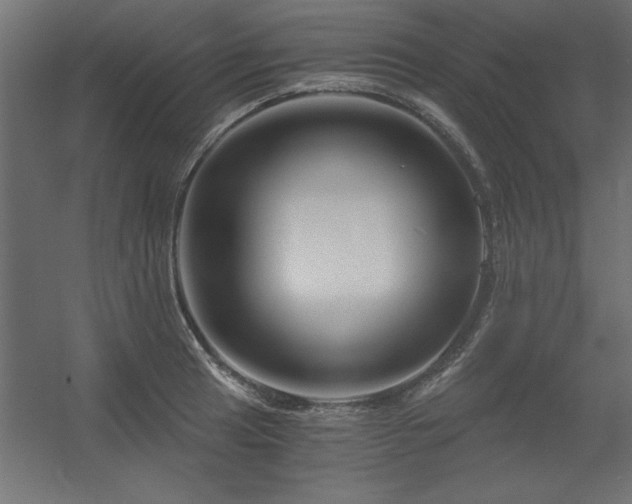X0000056321041200509021558