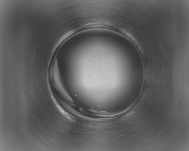 X0000056321042200509021558