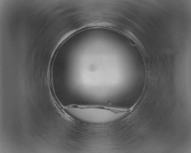 X0000056321044200509021558