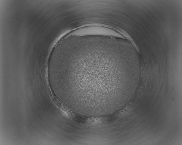 X0000056321051200509021558