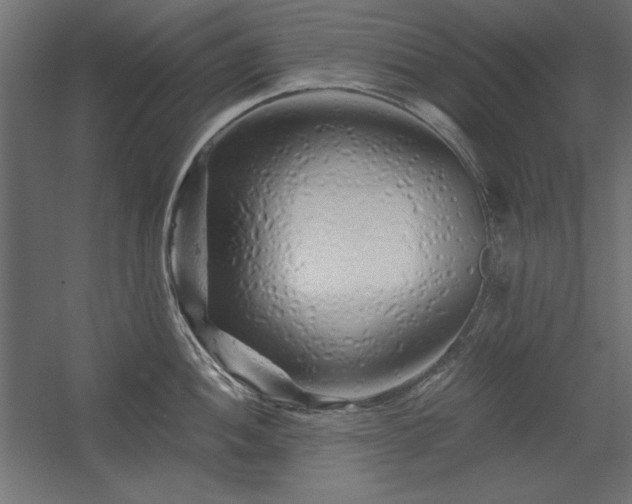 X0000056321052200509021558