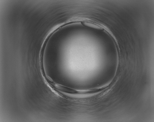 X0000056321053200509021558