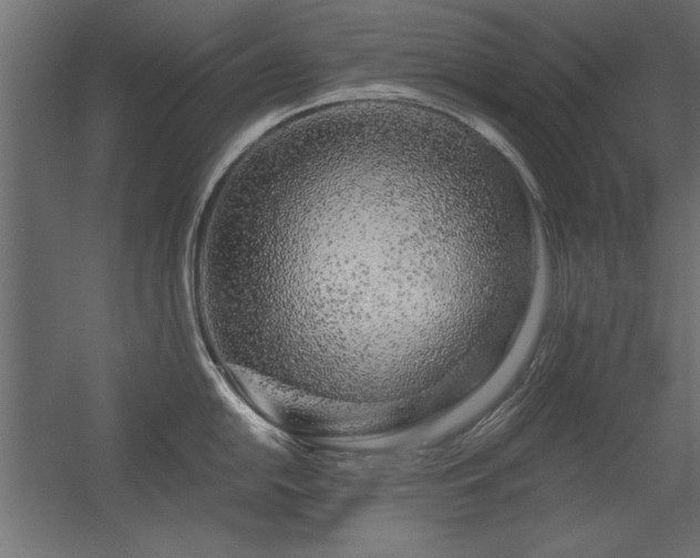 X0000056321054200509021558
