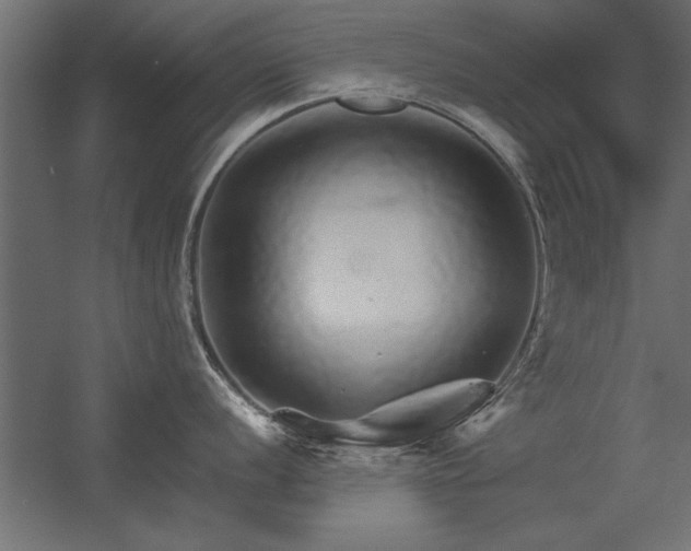 X0000056321056200509021558