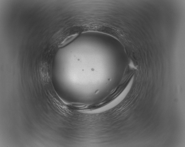 X0000056321058200509021557