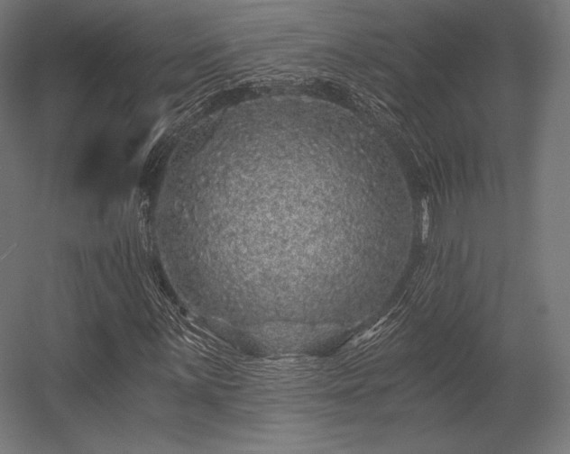 X0000056321059200509021557