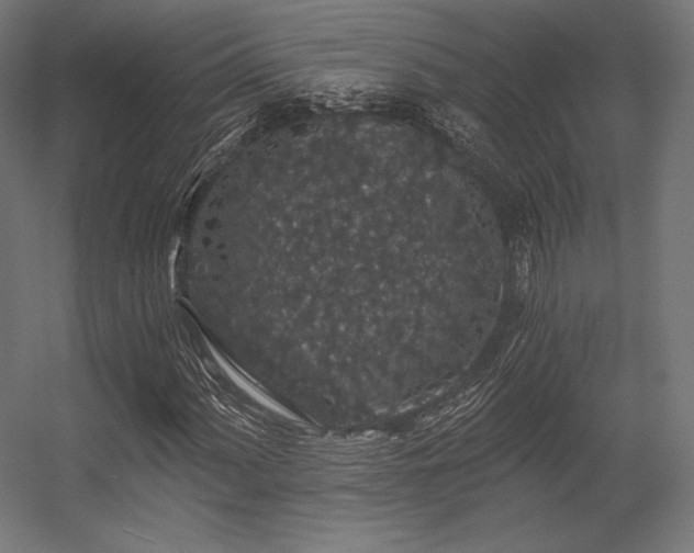 X0000056321060200509021557