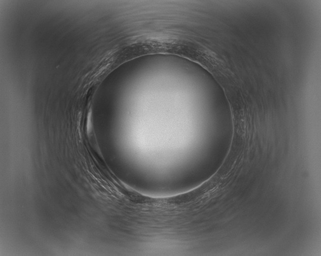 X0000056321061200509021557