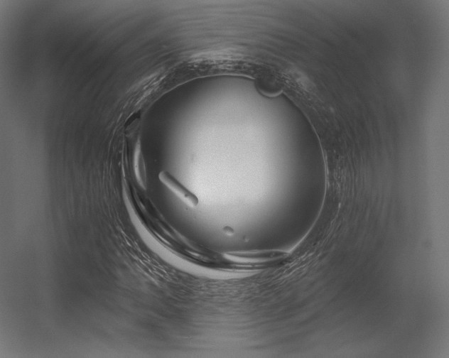 X0000056321062200509021557