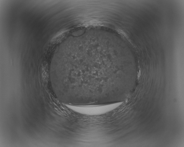 X0000056321063200509021557