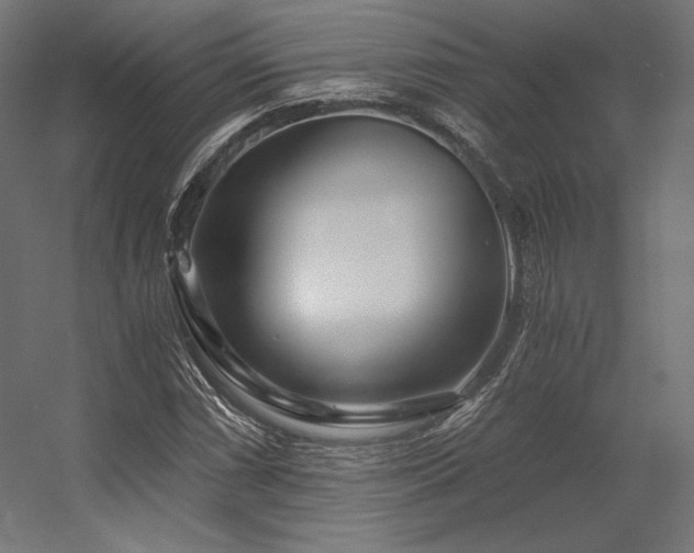 X0000056321066200509021557