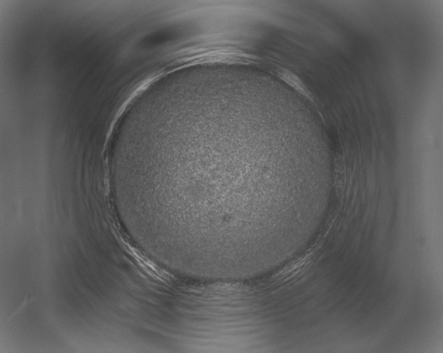 X0000056321067200509021557
