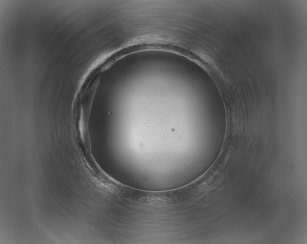 X0000056321070200509021557