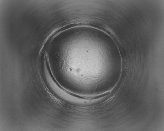 X0000056321075200509021557