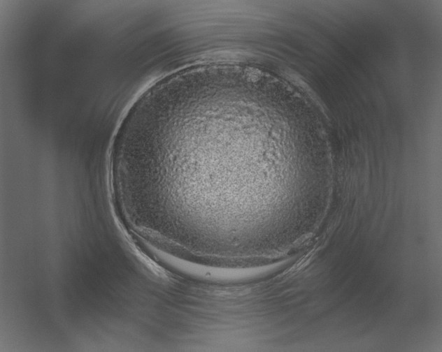 X0000056321083200509021557