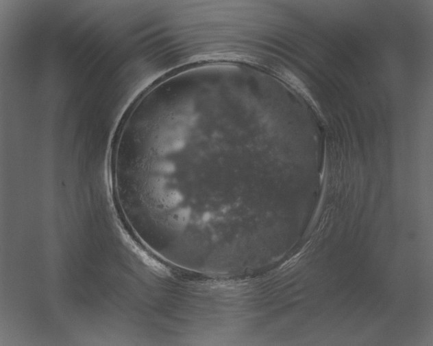 X0000056321084200509021557