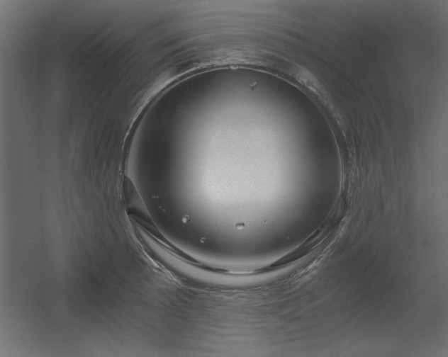 X0000056321089200509021557