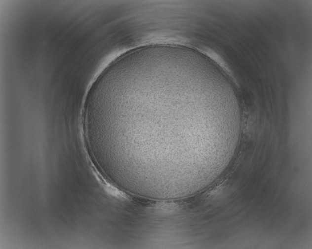 X0000056321094200509021557