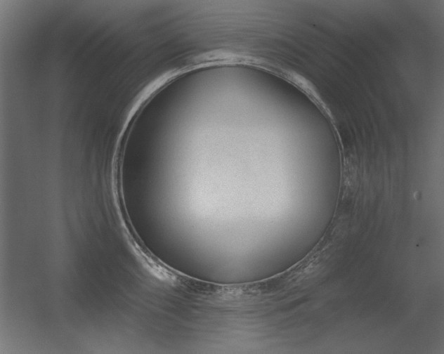 X0000056321098200509021556