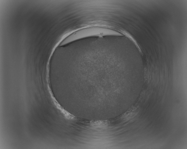 X0000056321099200509021556